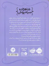 شاهزاده سیاه پوش جلد پنجم بازی محرمانه